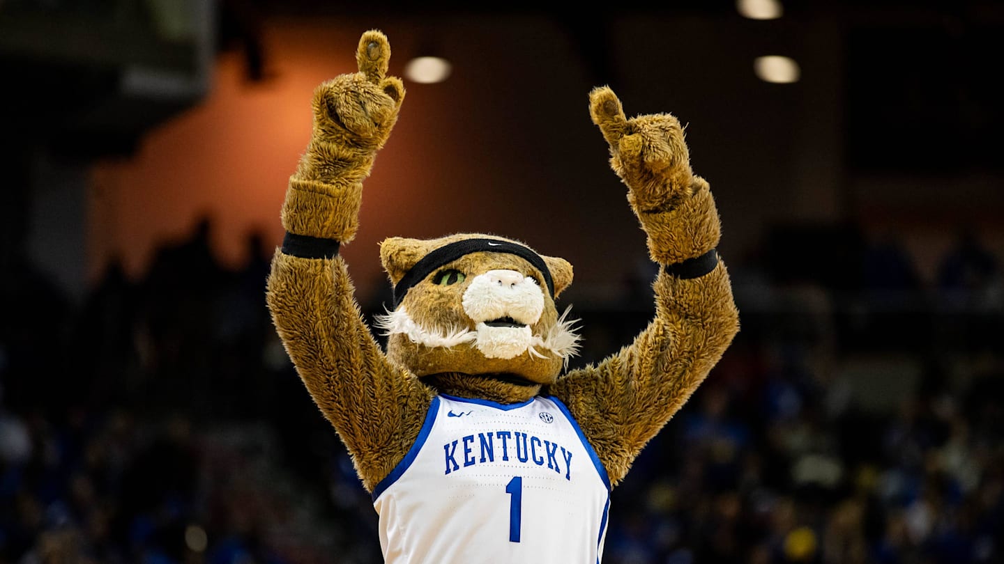 Andrija Jelavic will be the wildcard for Mark Pope's Kentucky Wildcats