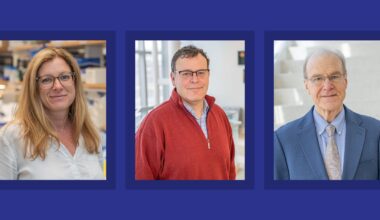 Phase I/II clinical study of gene therapy for GM2 gangliosidosis, including Tay-Sachs and Sandhoff diseases, shows encouraging results