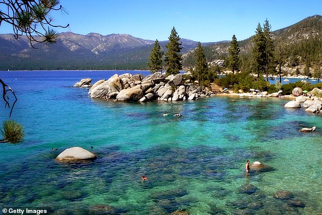A person living near Lake Tahoe (pictured) tested positive for the plague (file photo)