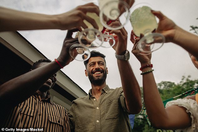 'Alcohol is a very toxic drug, it not only increases the risk of cancer, especially in women, that's breast cancer, but it also increases the risk of heart disease,' Dr. Levine explained (stock image)