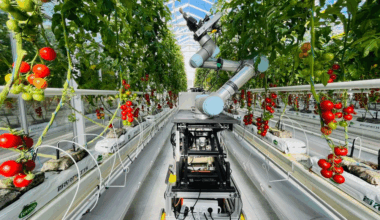 Chinese scientists develop world's first full-process intelligent breeding robot