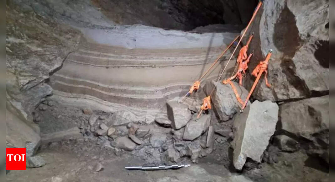 Ancient DNA reveals 75,000-year-old animal remains in Norway: PNAS study |