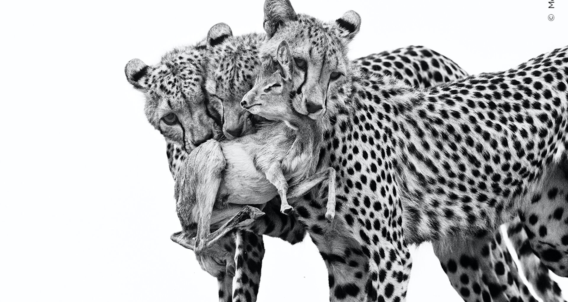 First Batch of Stunning Images Revealed