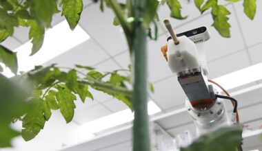 Chinese scientists develop world's first full-process intelligent breeding robot -Xinhua