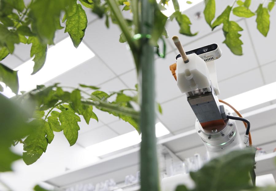 Chinese scientists develop world's first full-process intelligent breeding robot -Xinhua