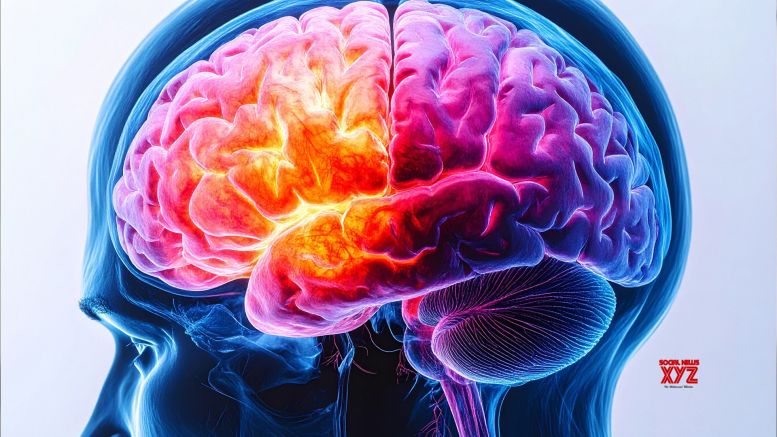 UK study identifies 8 new schizophrenia genes UK study identifies 8 new schizophrenia genes