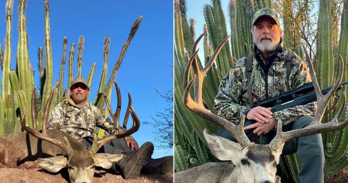 Millionaire big game hunter slaughtered by 'black death' buffalo in South Africa - Travel News - Travel
