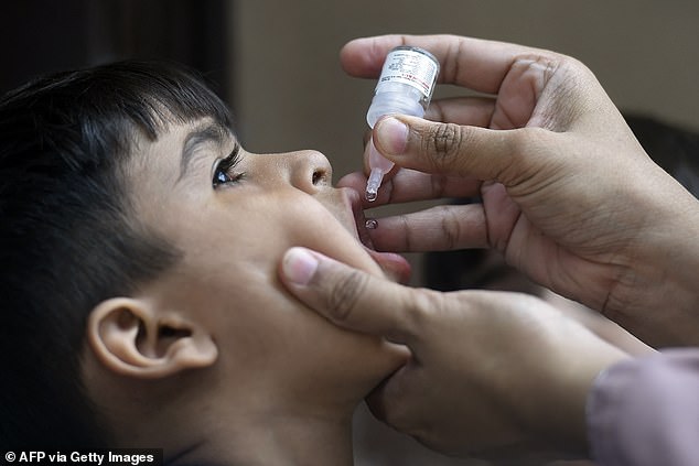 Polio infections have been eradicated from developed nations like the US, but it has been shown to be circulating in 39 nations, including five in Europe. Pictured above is a child in Pakistan receiving an oral polio vaccine