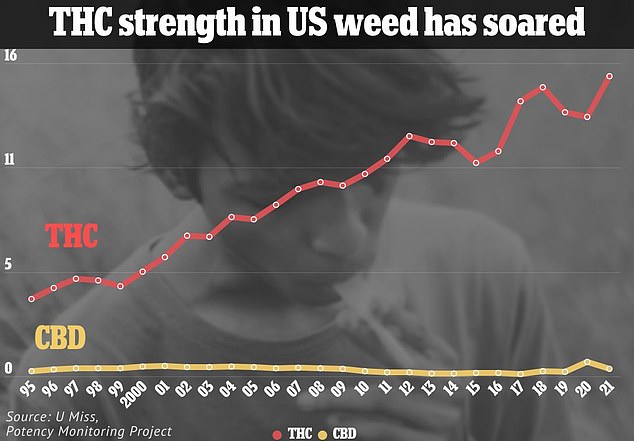 Cannabis is becoming easier to access and more potent. The graph refers to smokable cannabis. Other forms, such as vapes, contain up to 98 percent of THC, the psychoactive chemical in the drug linked to psychosis