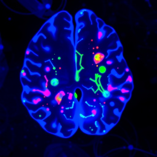 Altered Brain Organoid Neuron Growth in 22q11.2 Deletion