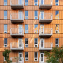 Intergenerational Housing Coop Milieu de l’Île / Pivot coopérative d'architecture - Image 5 of 16