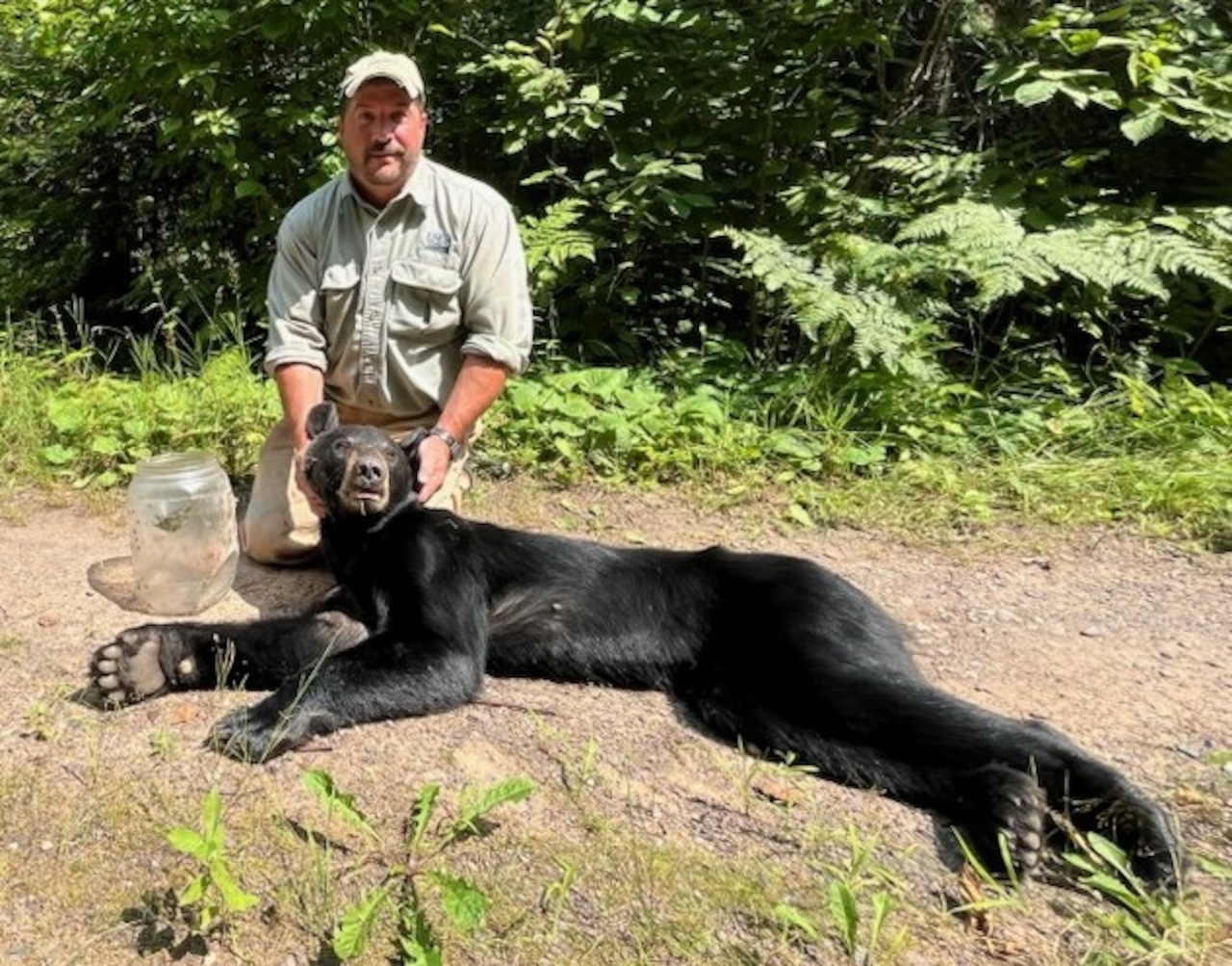 Wildlife officials track bear 50 miles to remove jar from its head