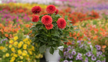 Danziger’s Award-Winning Genetics Capture Industry and Consumer Attention