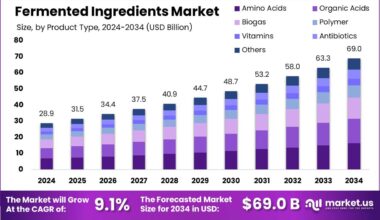 Fermented Ingredients Market
