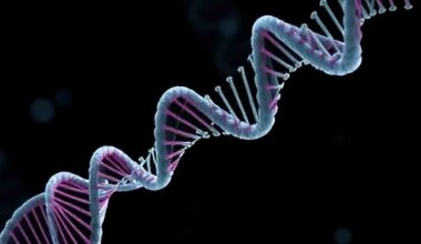 Genetic Diversity and Forensic Insights from West Bengal STRs