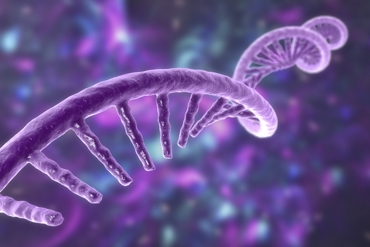 Exploring the Role of Non-Coding RNA in Gene Regulation