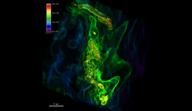 A diagram with green swirling shapes