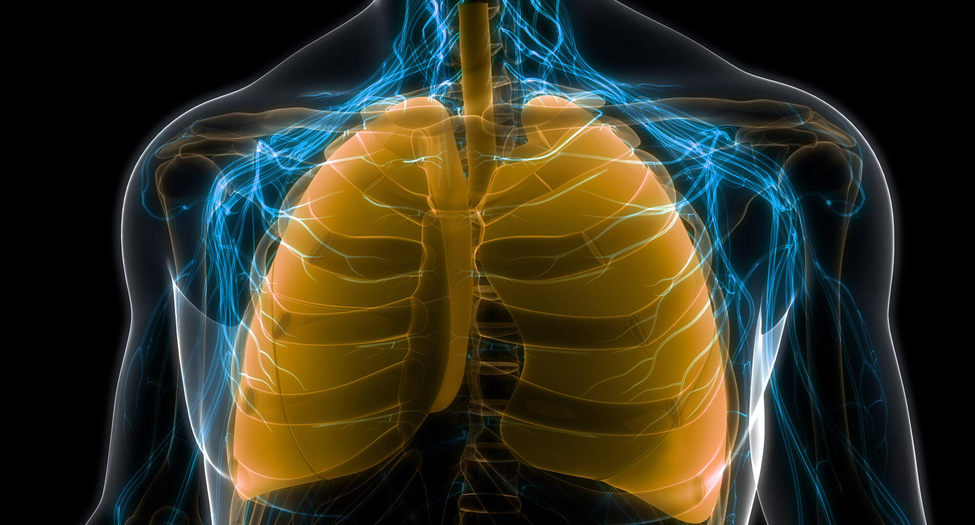 Genetic analysis of people with African ancestry reveals lung cancer susceptibilities  