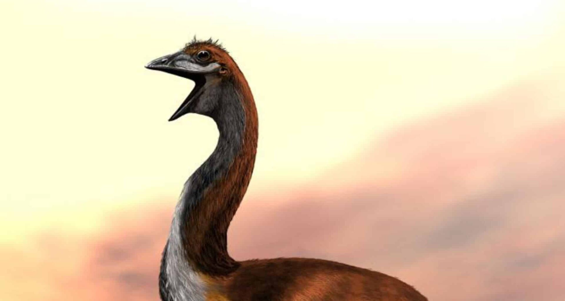 Meet The Elephant Bird — The Feathered Beast That Weighed As Much As A Dairy Cow