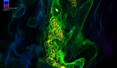 This image is from a ground-breaking simulation of the Universe's primordial gas clouds. The Universe's very first stars formed in these clouds. The colour scale shows gas density. At this stage, one of the clumps has surpassed the Jeans instability threshold and begun to collapse into a Population III star with a mass of approximately 8.07 solar masses. Image Credit: Chen et al. 2025. ApJL