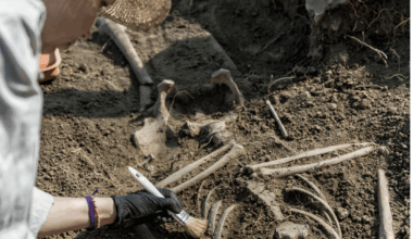 Some early ancient humans were cannibals and ate children