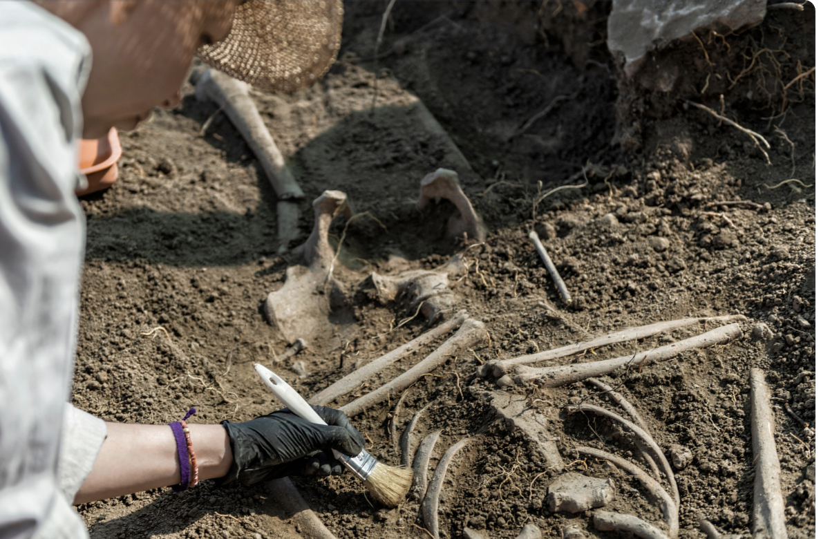 Some early ancient humans were cannibals and ate children
