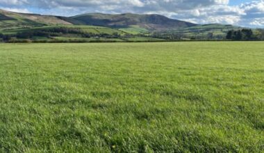 Protected urea: reducing emissions while sustaining production