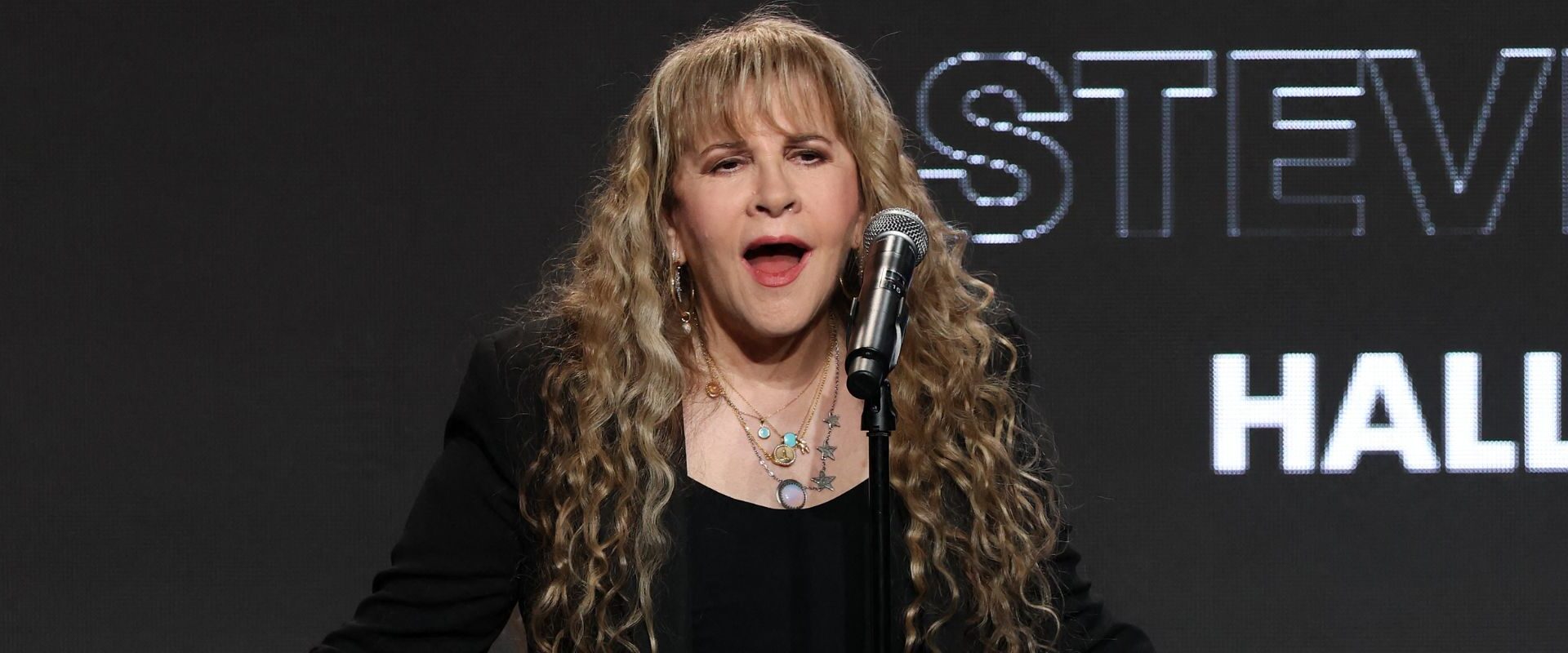 Stevie Nicks Forced to Halt Upcoming Shows Due to Injury