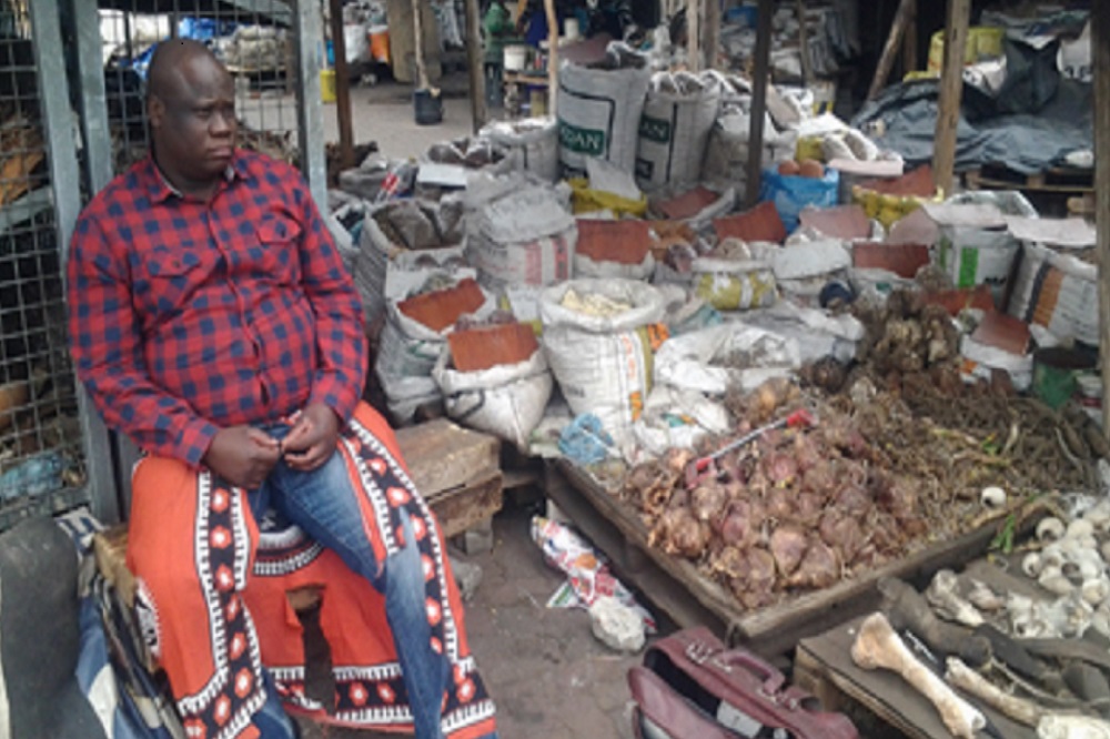 Traditional healers demand equal recognition for medical certificates - SABC News