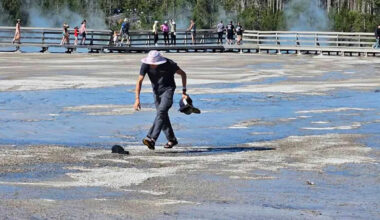 Yellowstone Visitors Horrified After Tourist Walked Across Forbidden Off-Limits Zone in Flip-Flops