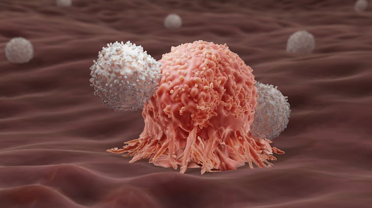 A digital depiction of T-cells attacking a cancer cell.
