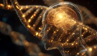 Scientists may have found the tiny DNA switch that made us human