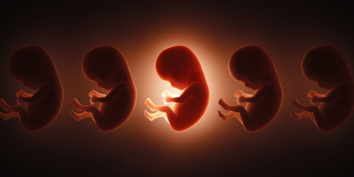 A Company Says It Can Predict Your Baby’s IQ Before Birth