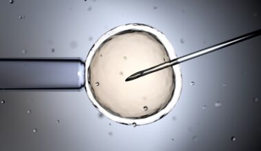 Analysis: Reasons to worry about three-parent babies