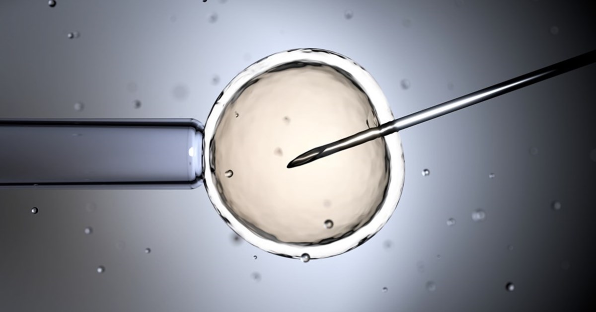 Analysis: Reasons to worry about three-parent babies