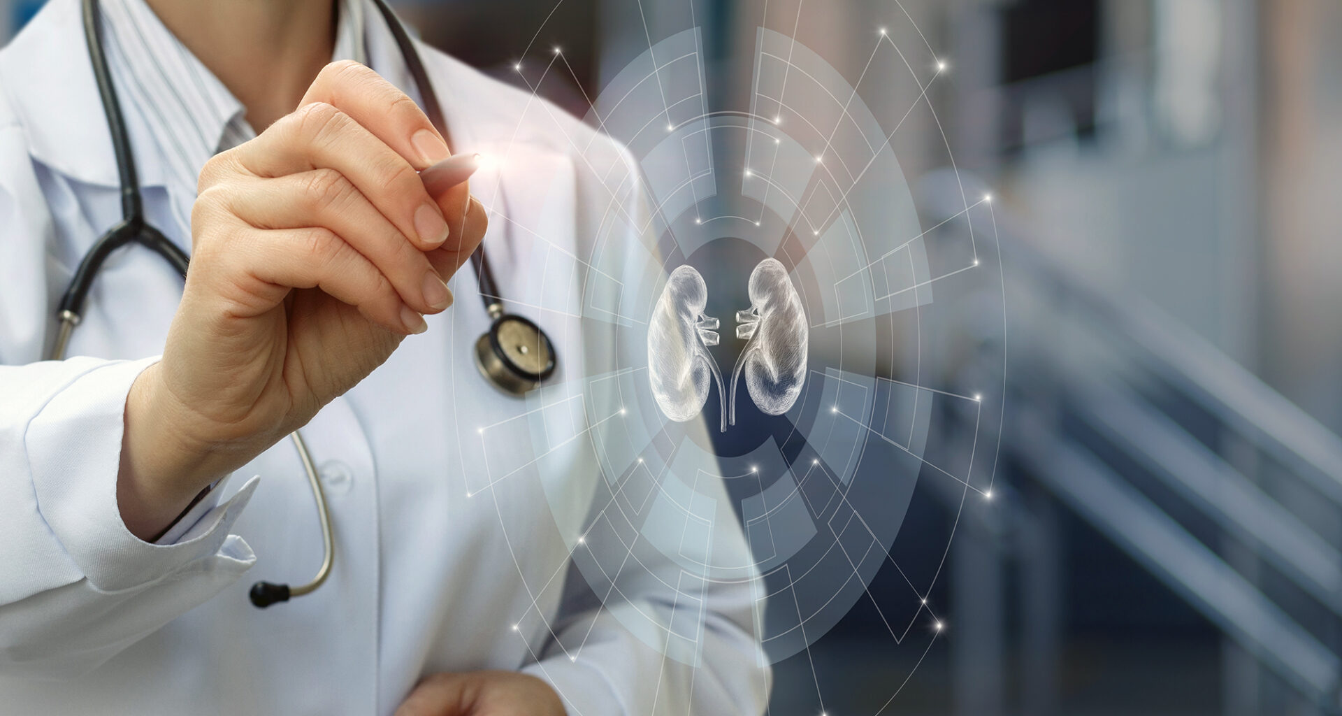 A doctor with a virtual pen hovering over a hologram of a kidney.