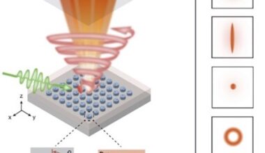 New metalaser is a laser researcher's dream – Physics World