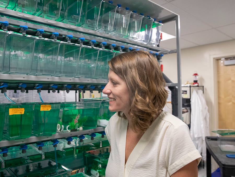 Evolutionary biologist Misty Riddle receives NSF CAREER Award