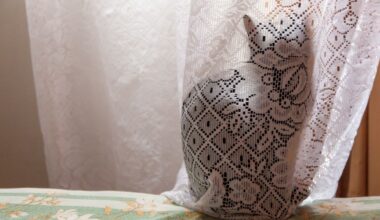 Quantum "Schrödinger's Cat" Survives For Mind-Blowing 23 Minutes In Record-Breaking Experiment