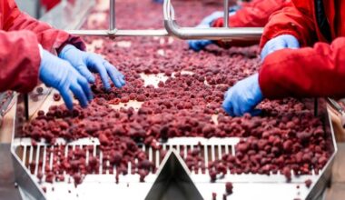 As farm jobs decline, food industry work holds steady