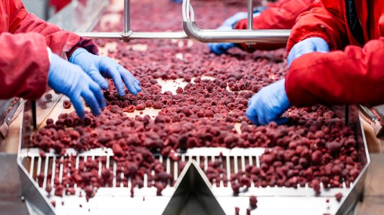 As farm jobs decline, food industry work holds steady