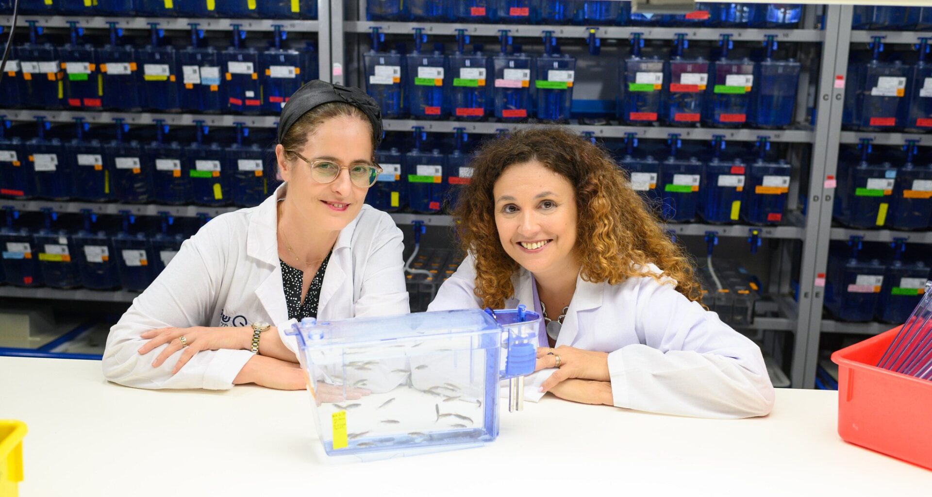 Zebrafish help Israeli researchers hook potential cure for deadly genetic disease