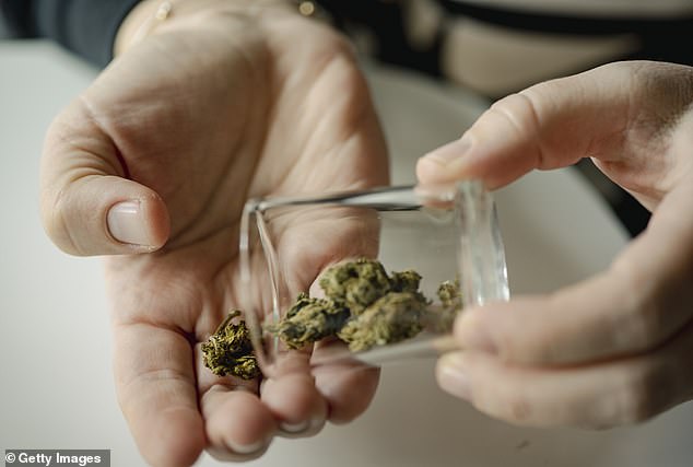 Doctors said edibles posed the greatest risk to patients because their effects are longer lasting (stock image)