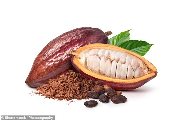 Flavanols are the key anti-inflammatory component in cocoa extract. They work by neutralizing cell-damaging free radicals and suppressing the production of pro-inflammatory proteins, helping to calm the body's inflammatory response at a cellular level (stock)