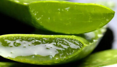 5 side effects of using Aloe Vera on skin