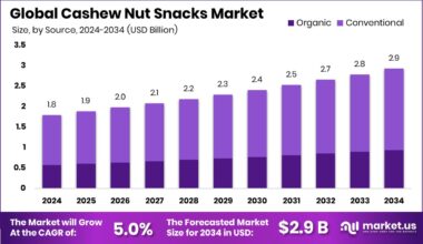 Cashew Nut Snacks Market Size