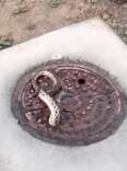 Guy Notices Long Tail Sticking Out Of Manhole Cover — Then Sees It Move