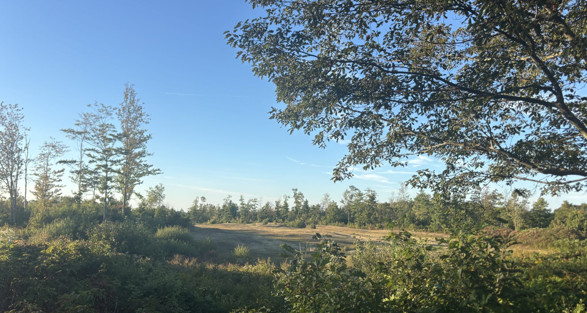 Former Sable Oaks Golf Course is on the market