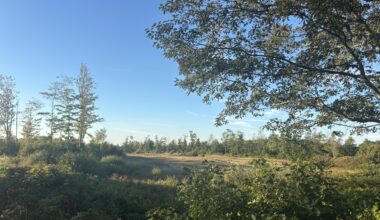 Former Sable Oaks Golf Course is on the market