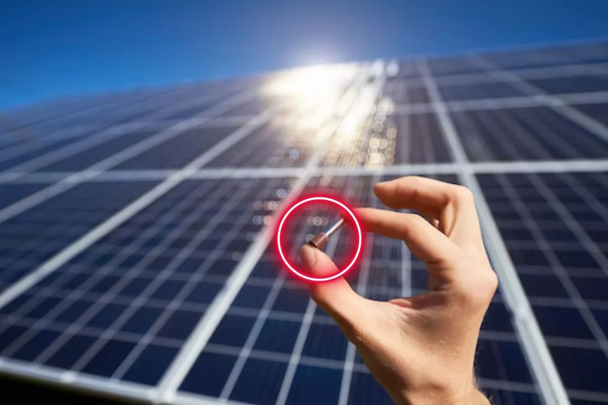 China sets a new record for this fuel, which is becoming increasingly profitable and is starting to be a credible alternative to fossil fuels.